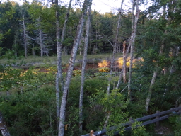 P1190870 Pond at Dusk
